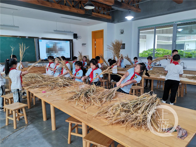 新版课程方案发布，独立设置劳动课程（中小学劳动教育课40年变迁史）